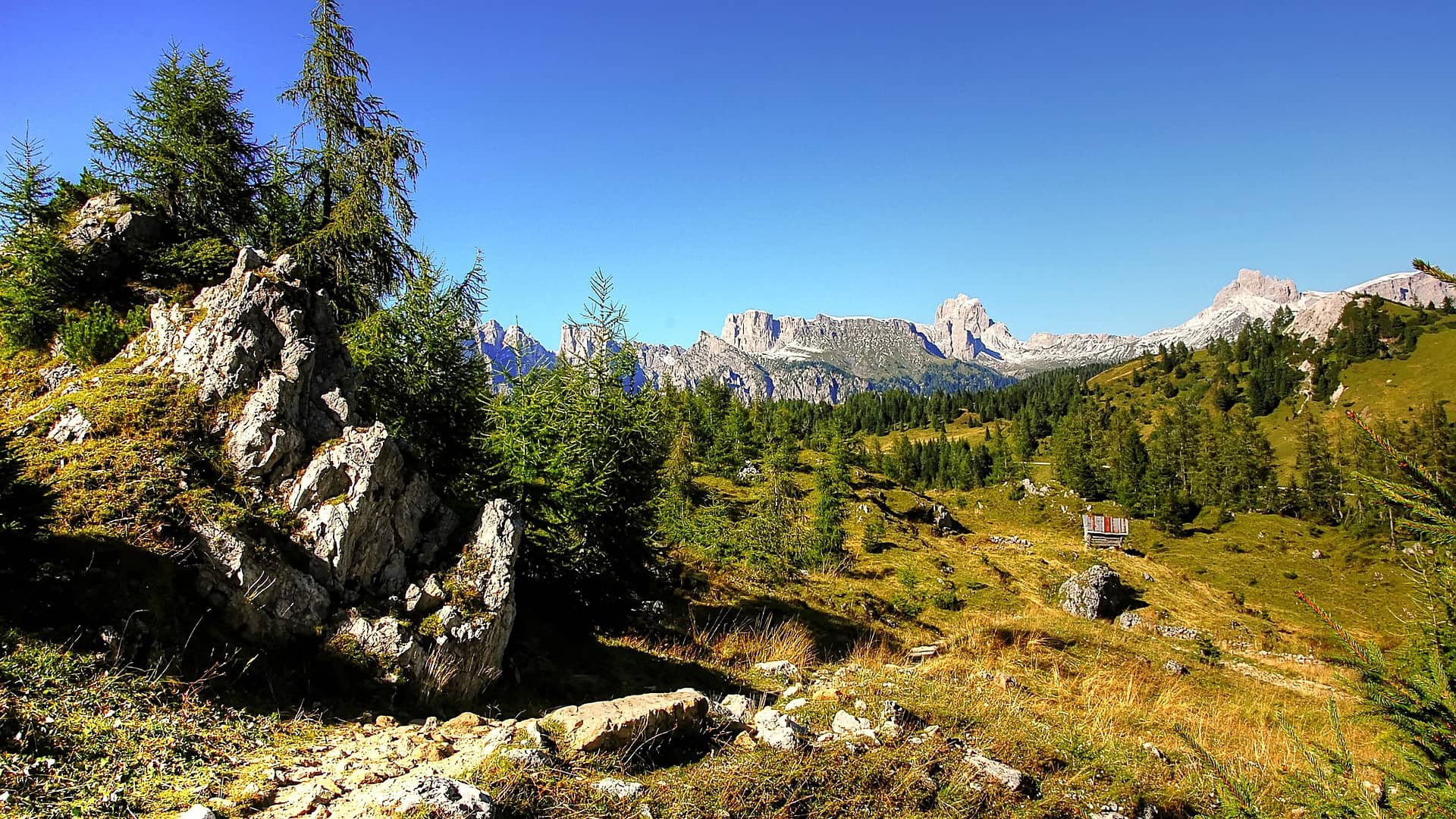 civetta pelmo dolomites alpine  