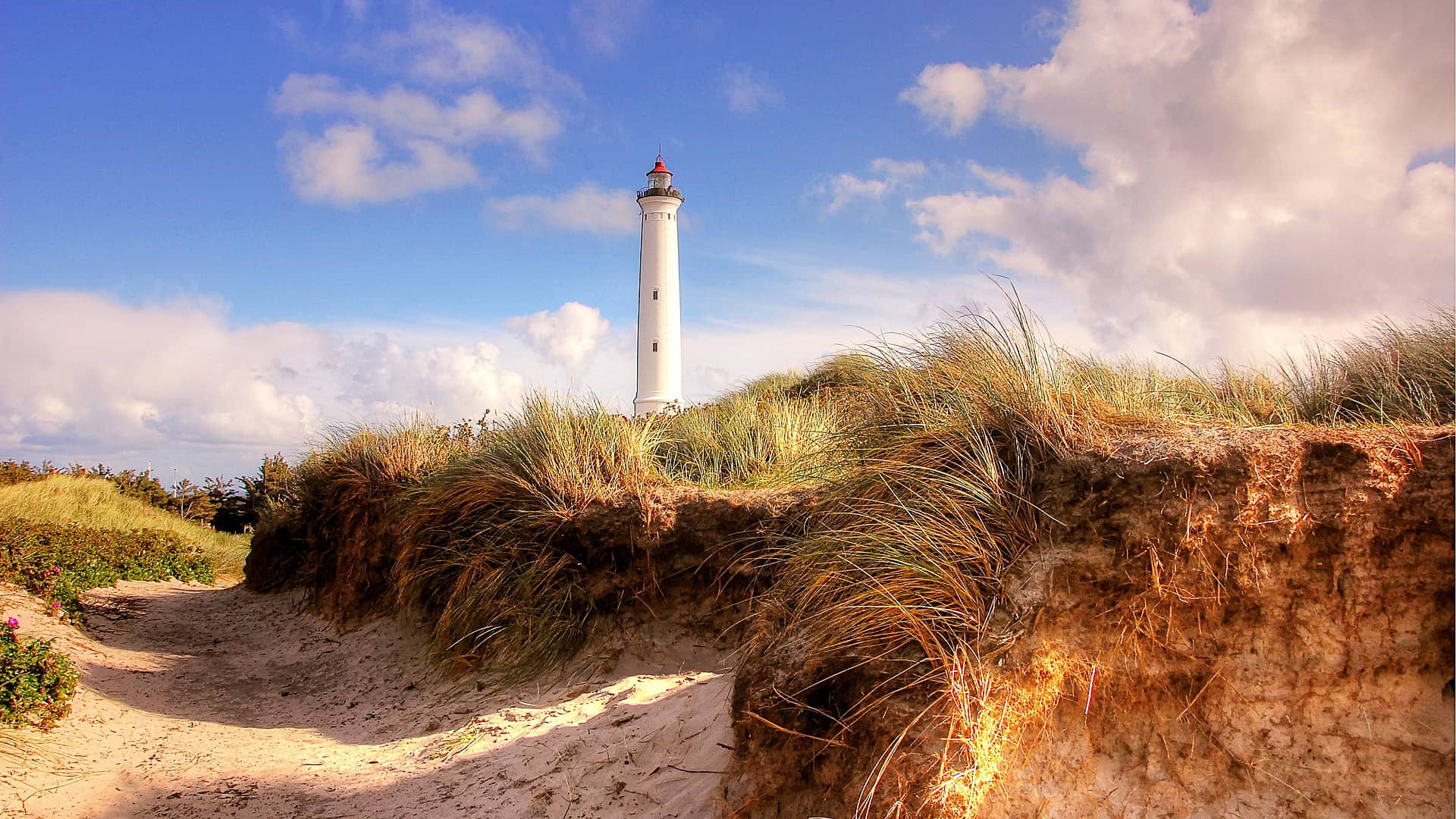 coast lighthouse sea ocean tower  