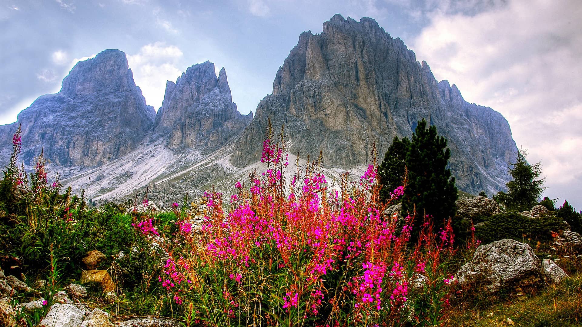 dolomites mountains italy  