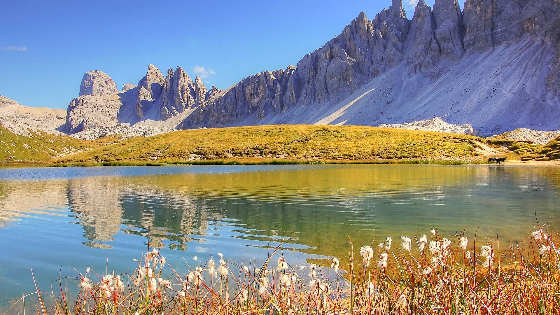 dolomites mountains italy  