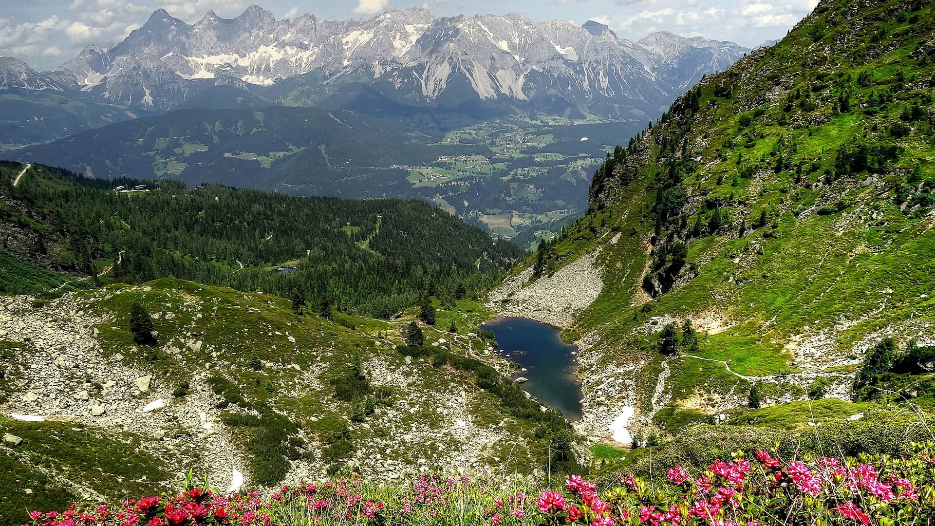 gasselsee dachstein bergsee nature  