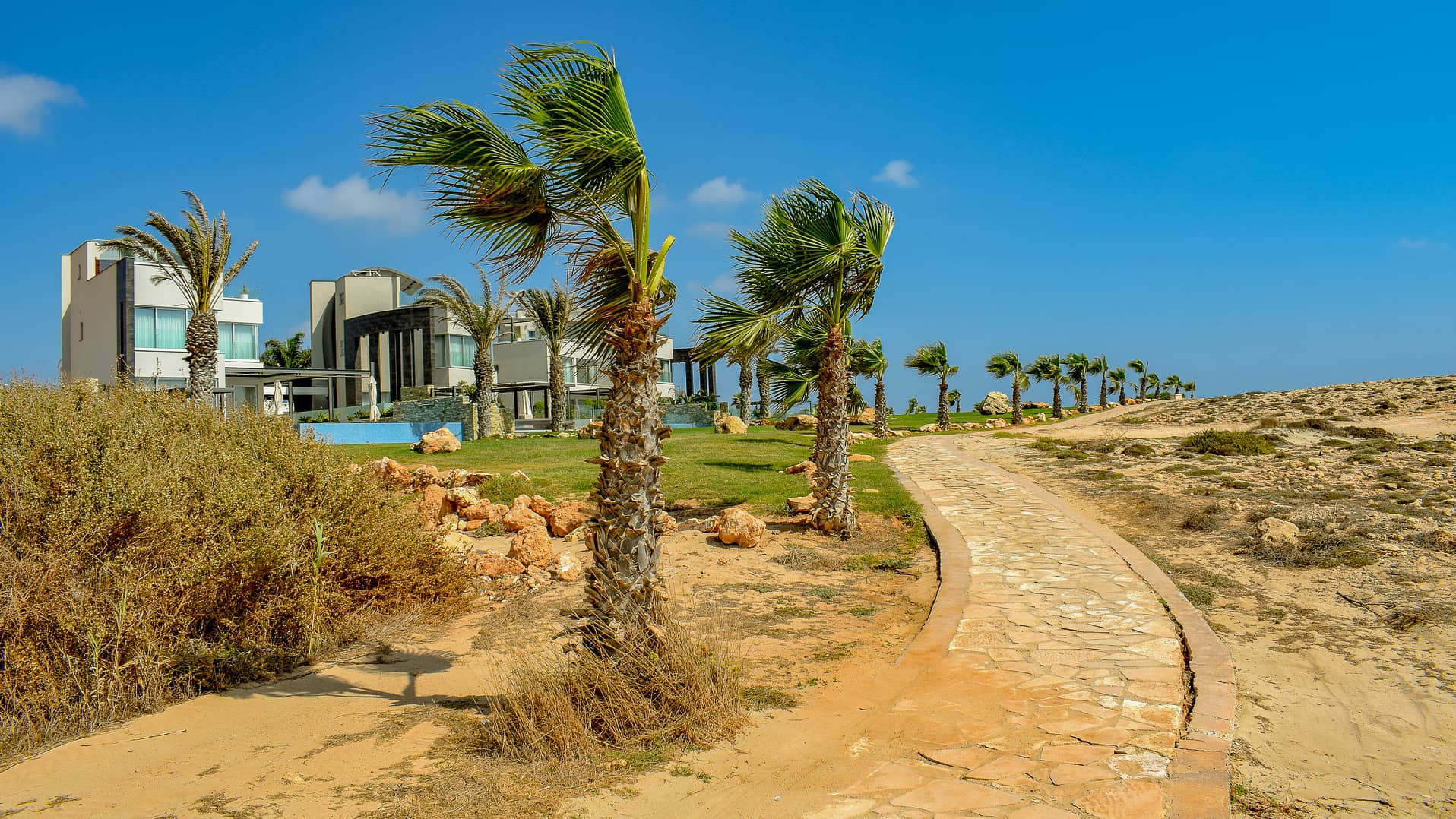 path pedestrian walkway palm trees  