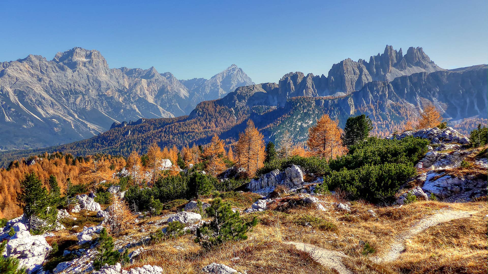 sorapis croda da lago dolomites  