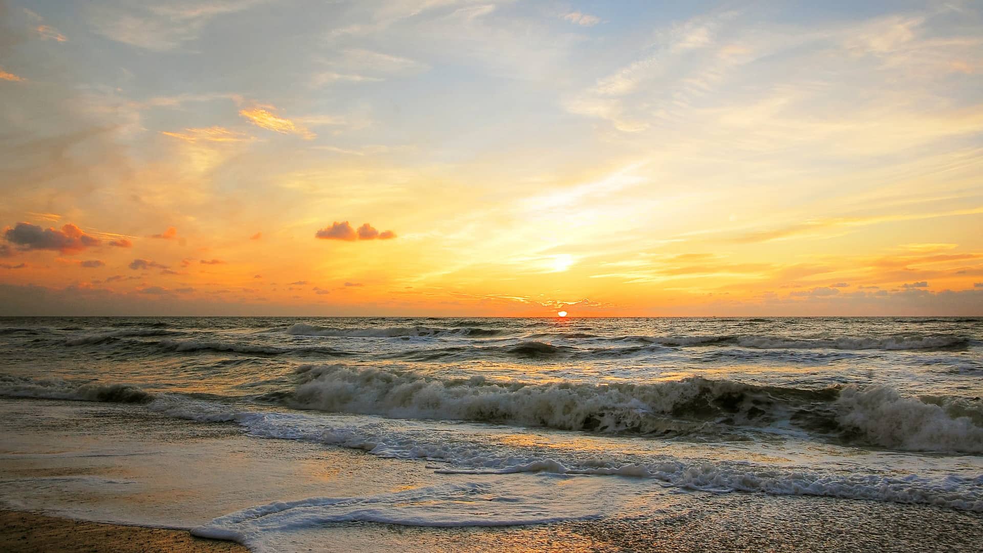 sun denmark summer sea nature  