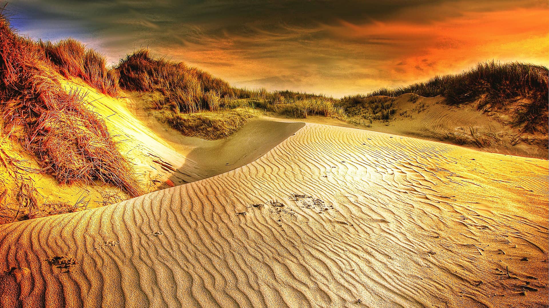 sun dunes sand desert sea hot  