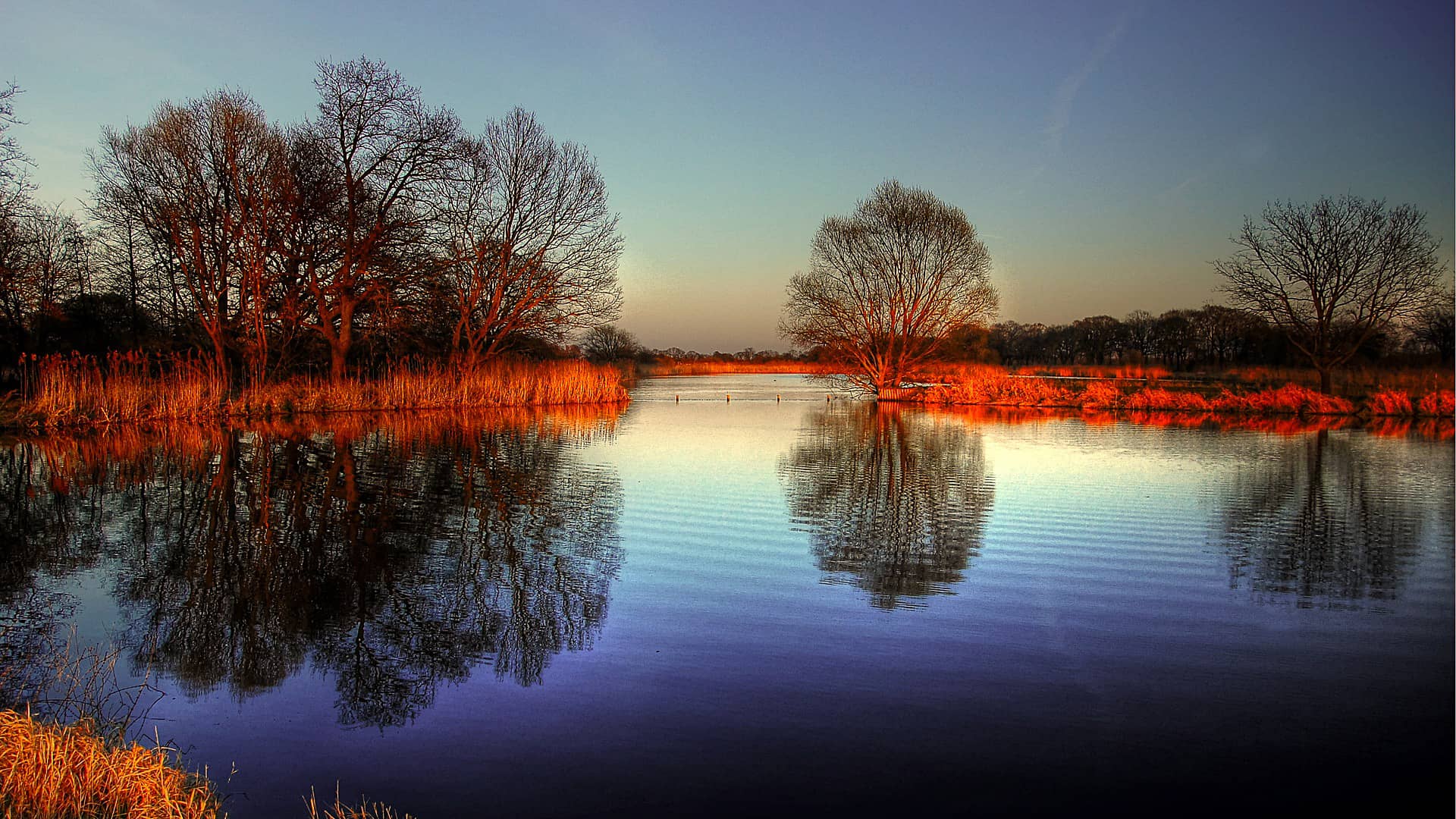 sun pond water nature landscape  