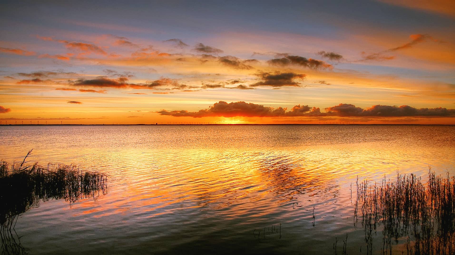 sunrise bank beach sea water sky  