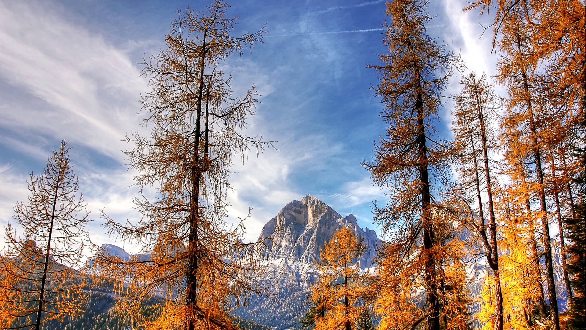 tofane dolomites nature  