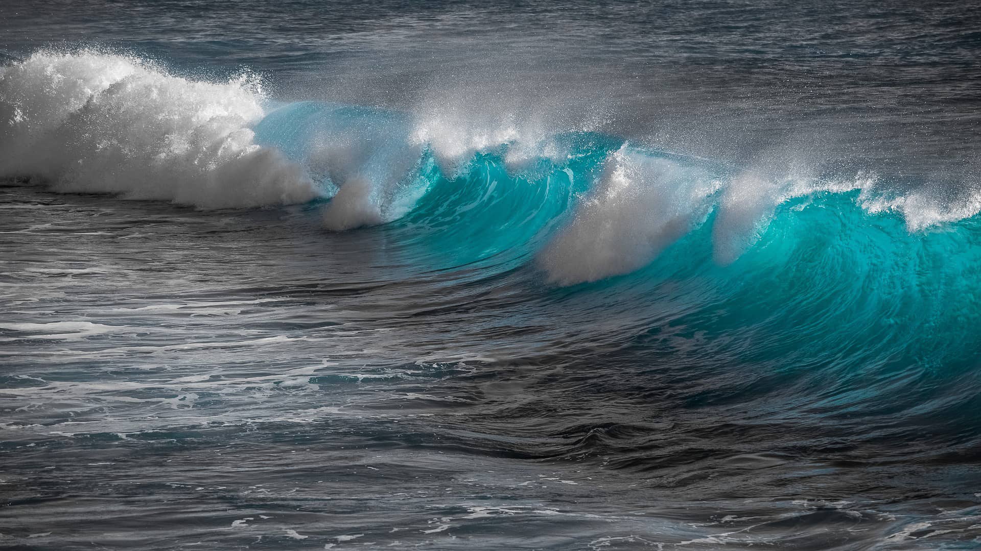 wave water surf ocean sea spray  