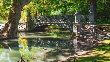 bridge park lake forest morning  