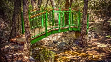 bridge wooden creek trees scenic  