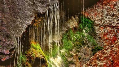 clammy waterfall water nature  