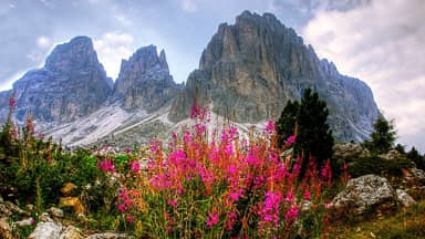 dolomites mountains italy  