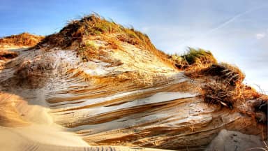 dune beach sea nature north sea  