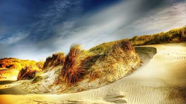 dunes denmark north sea beach sea  