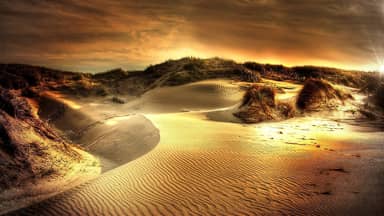 dunes sea north sea beach sand  