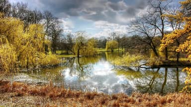 park braunschweig nature germany  