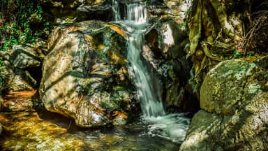 stream water creek nature scenic  