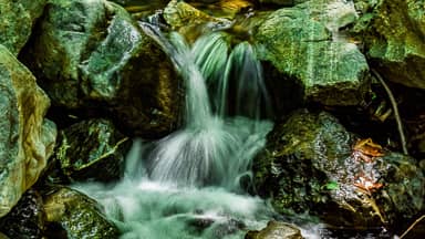 stream water nature river scenic  