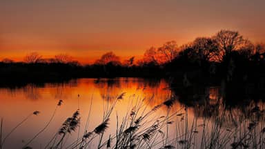 sun pond water nature landscape  