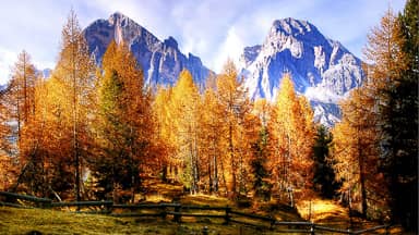 tofane dolomites nature  